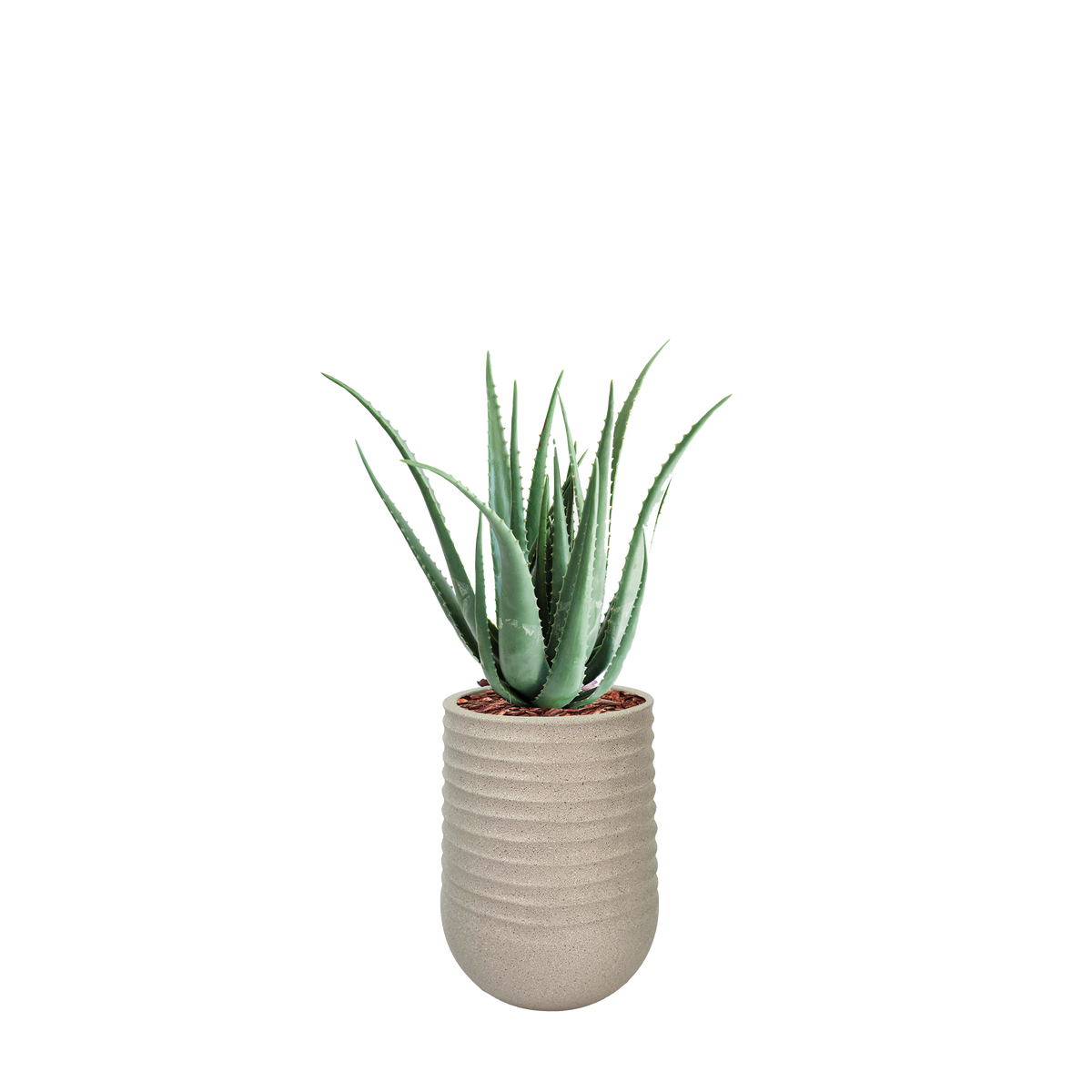 Artimis S Beige with Aloe - 70cm