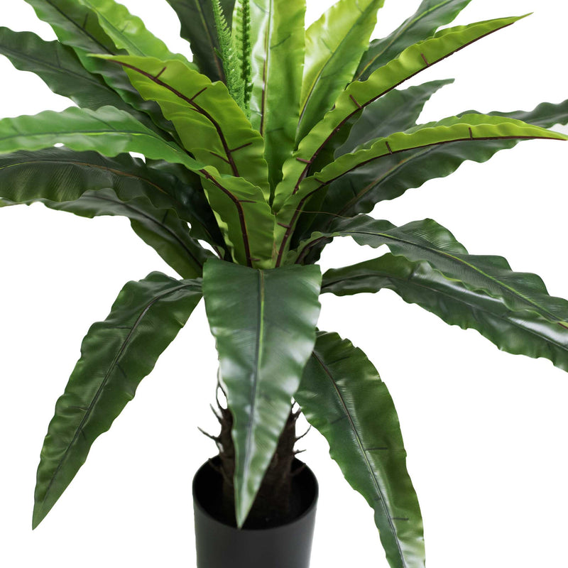 FAUX BIRDSNEST FERN 90CM BEAUTIFUL RICH GREEN COLOUR WITH FRONDS CLOSEUP