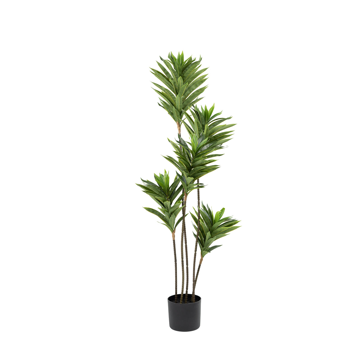 Dracaena Reflexa Faux tree 120cm with 5 heads