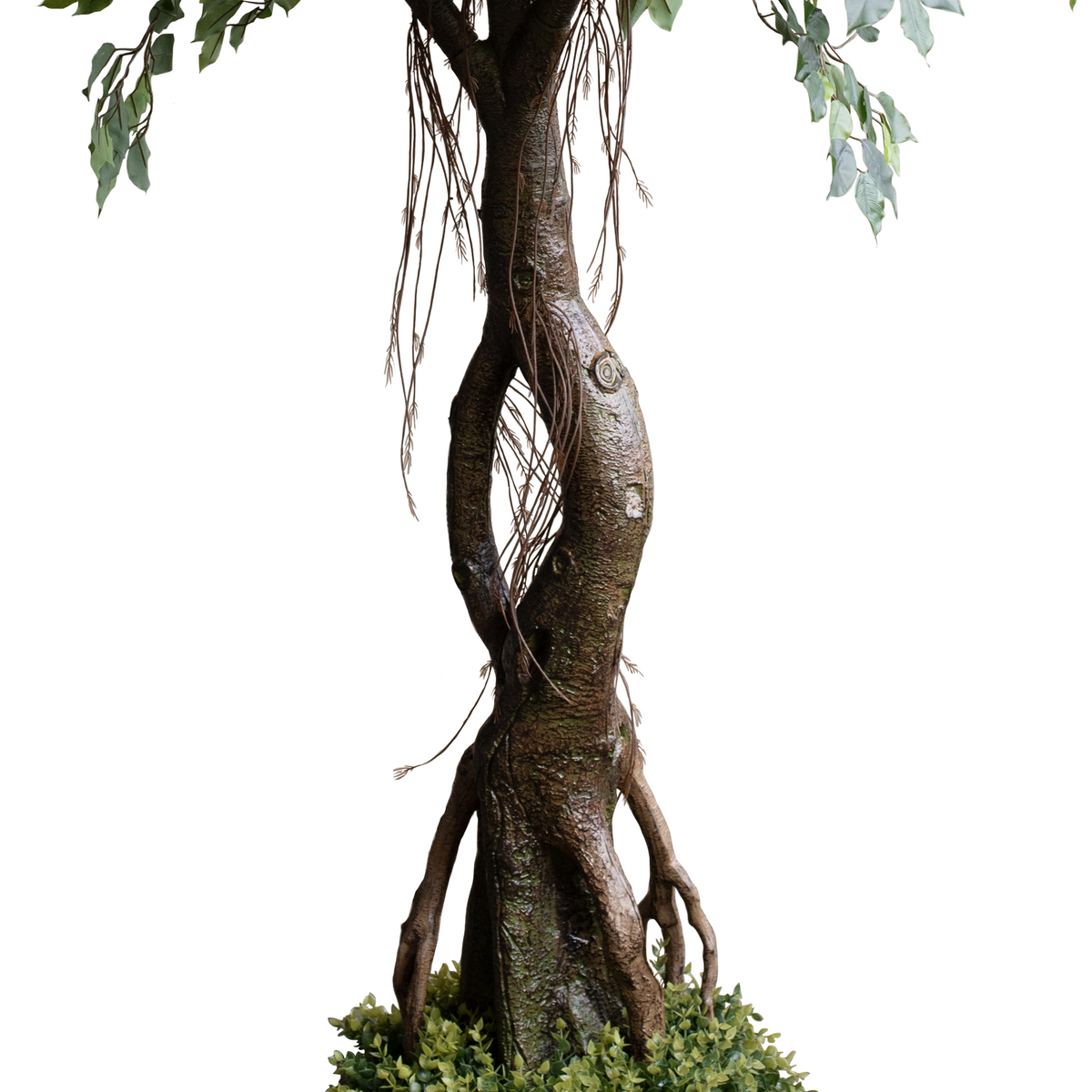 Ficus Tree Real Touch with base 245cm