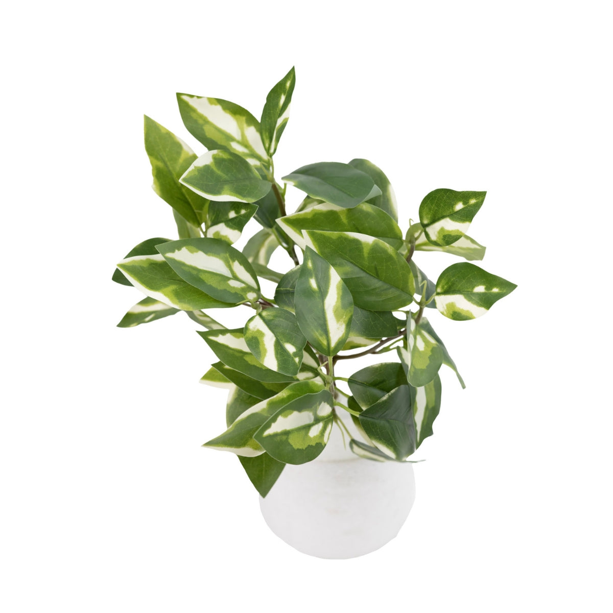 Foliage in Grey Plastic Pot with Legs