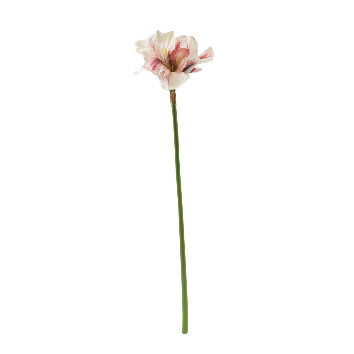 Amaryllis Red White Silk Flower Stem - 78cm