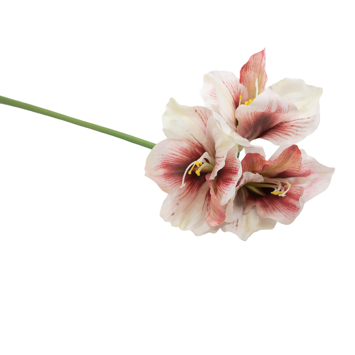 Amaryllis Red White Silk Flower Stem - 78cm