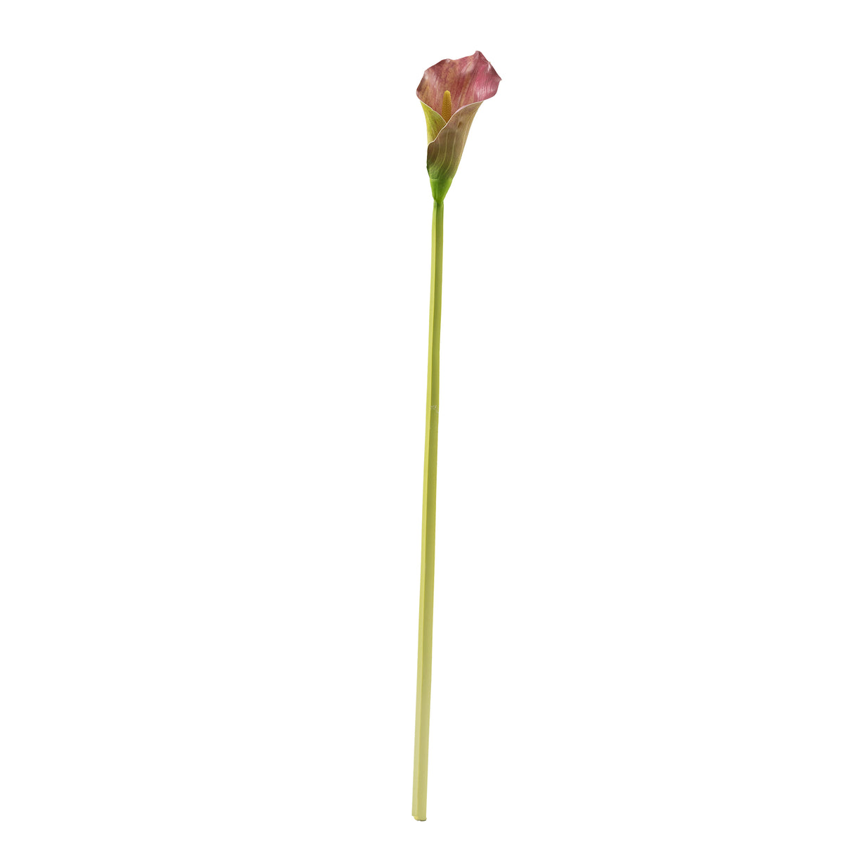 Arum Lily Pink Green Silk Flower Stem - 73cm