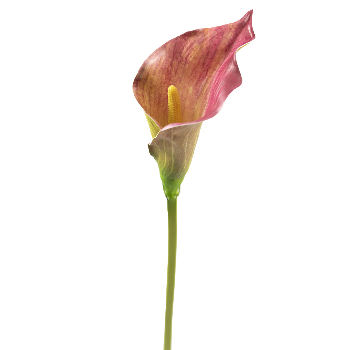 Arum Lily Pink Green Silk Flower Stem - 73cm