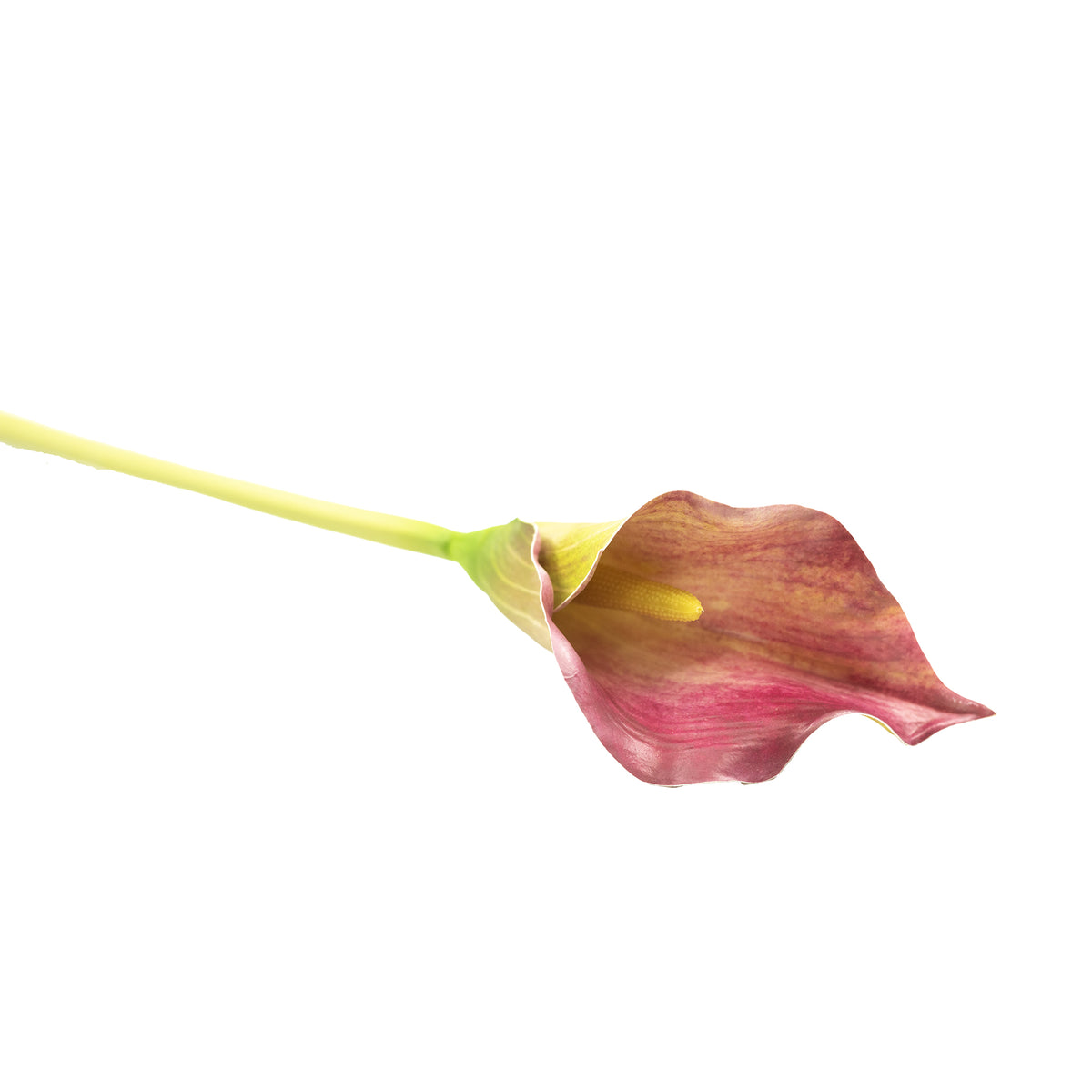 Arum Lily Pink Green Silk Flower Stem - 73cm