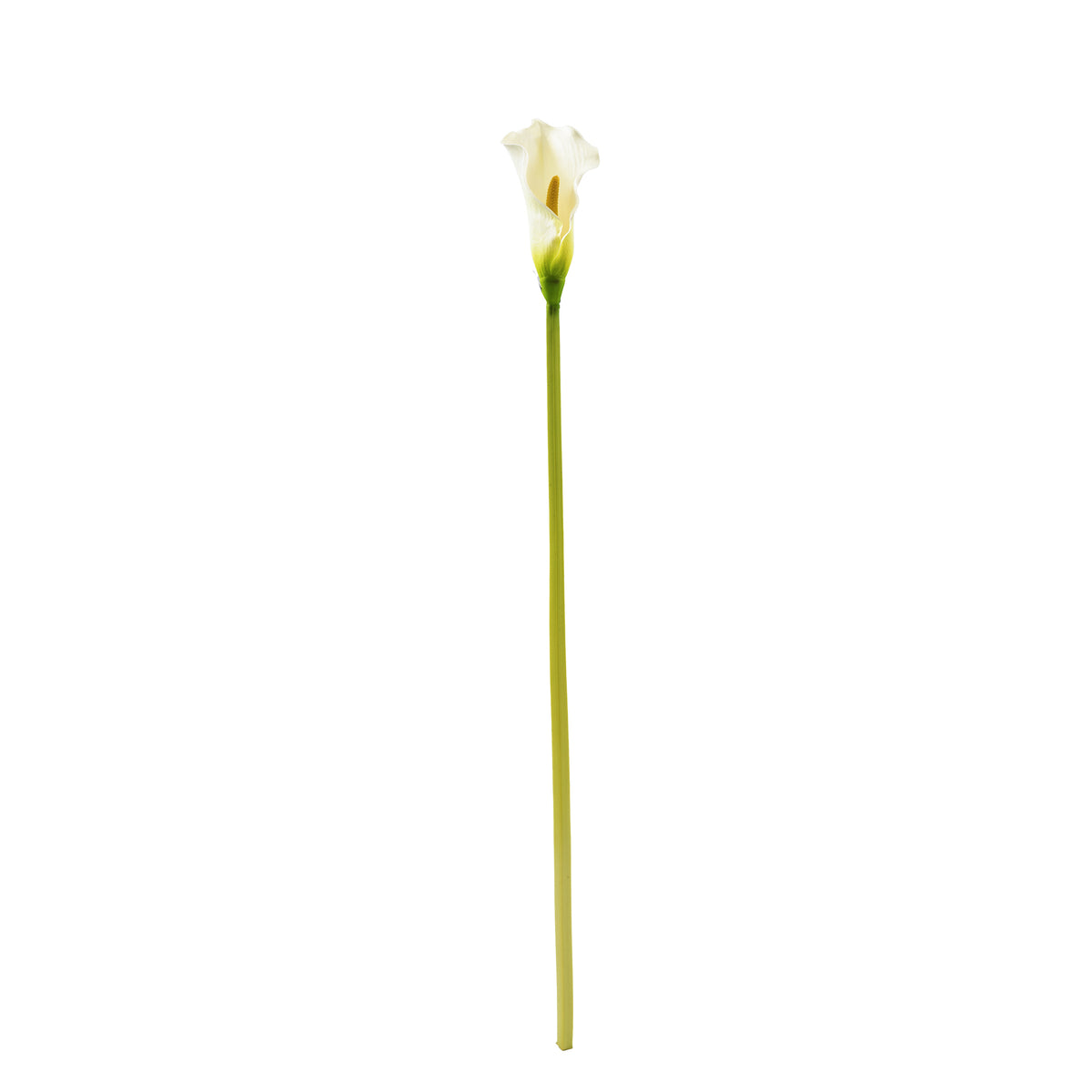 Arum Lily White Silk Flower Stem - 73cm