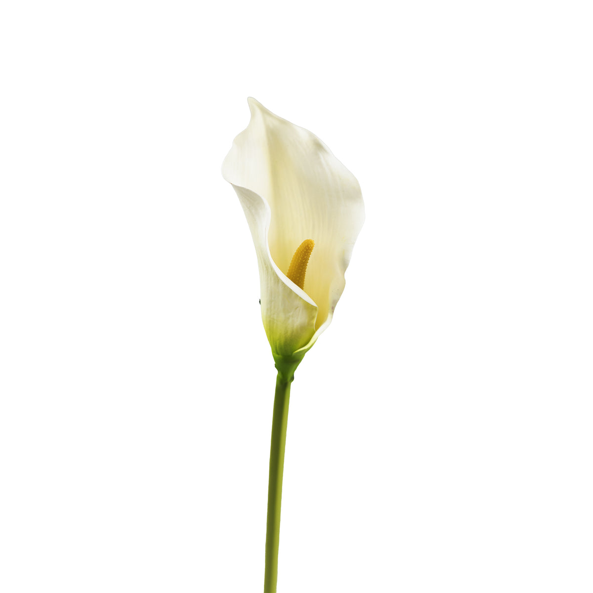 Arum Lily White Silk Flower Stem - 73cm