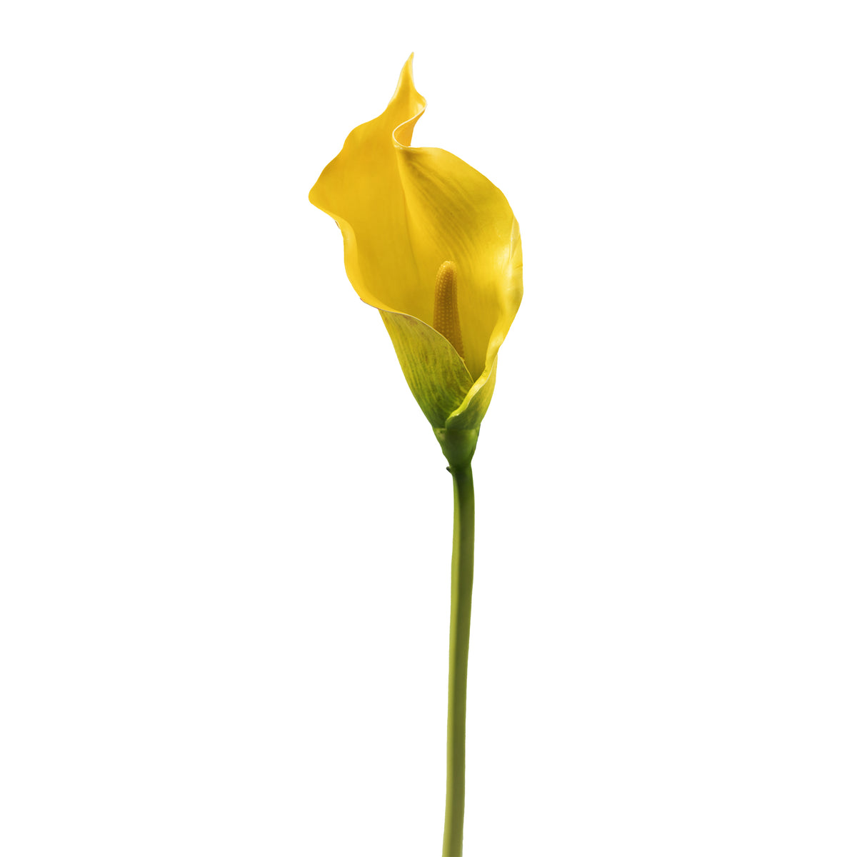 Arum Lily Yellow Silk Flower Stem - 73cm