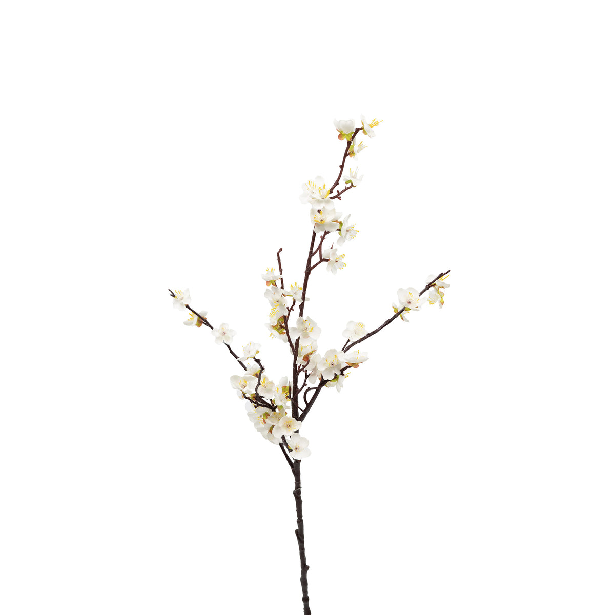 Cherry Blossom White Silk Flower Stem