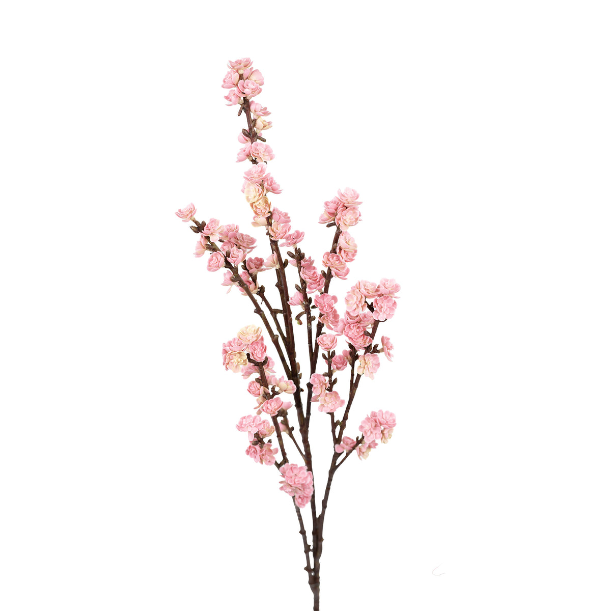 Cherry Blossom Pink Real Touch Flower Stem - 88cm