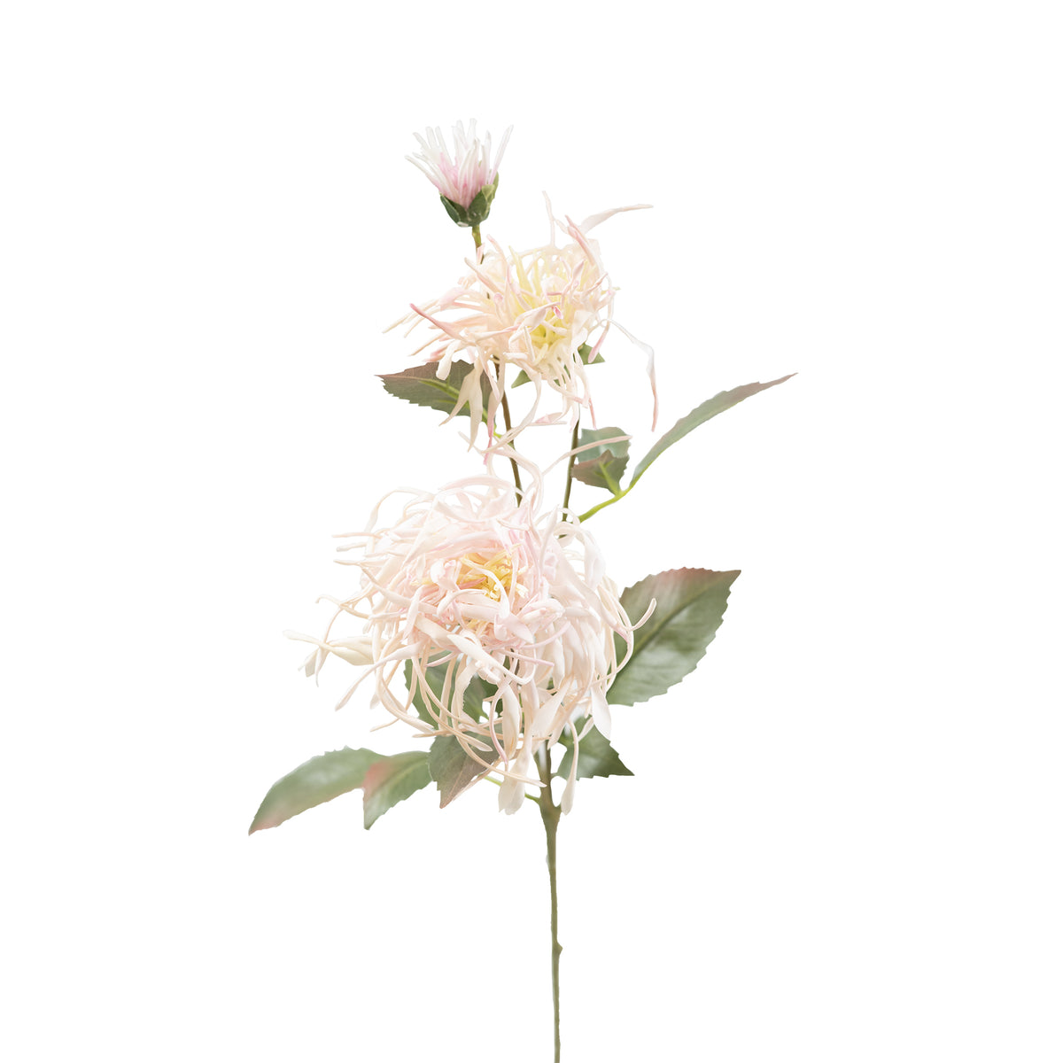 Spider Chrysanthemum Pink Beige Silk Flower Stem