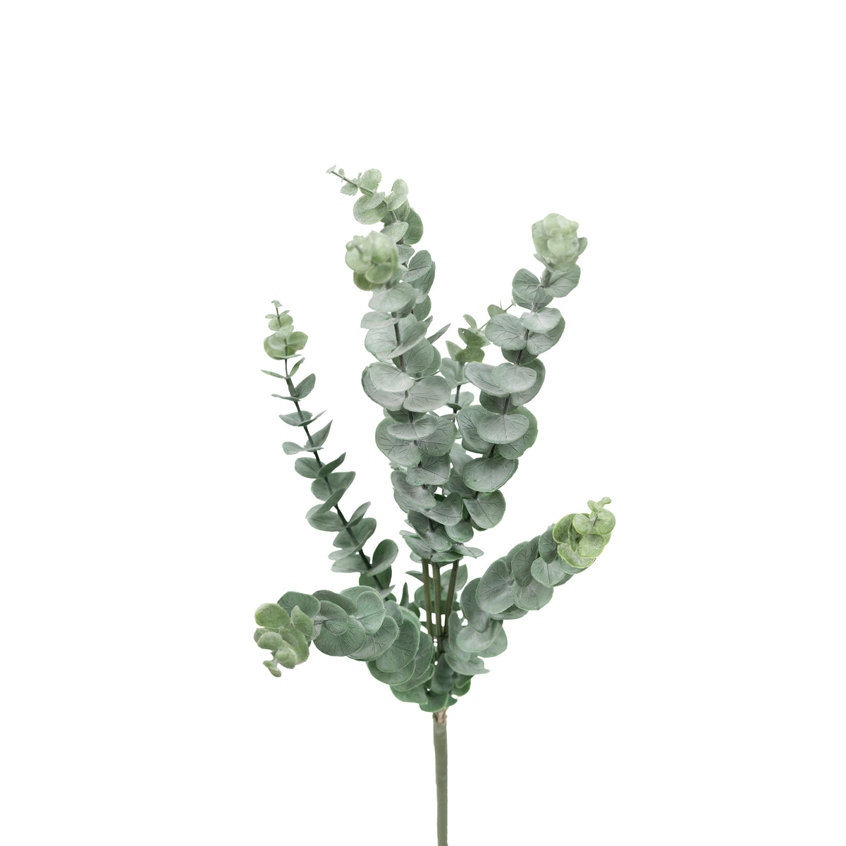 Pennygum Grey Stem 65cm. Artificial plants, foliage and silk flowers available from www.plantcouture.co.za