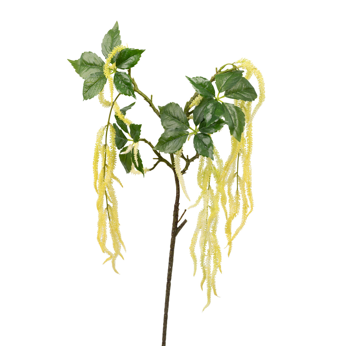 Golden Amaranthus Spray Stem