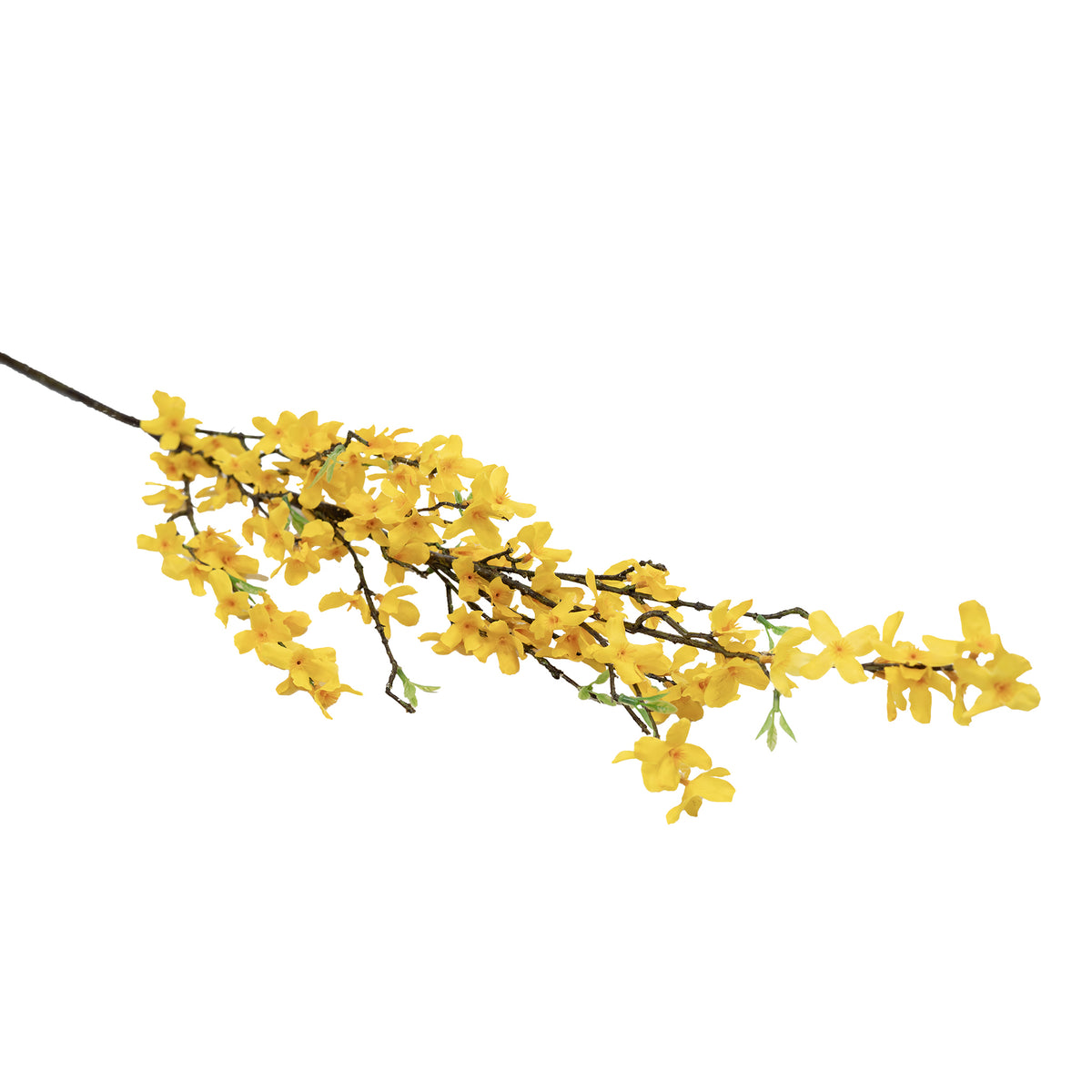 Forsythia Stem - 125cm