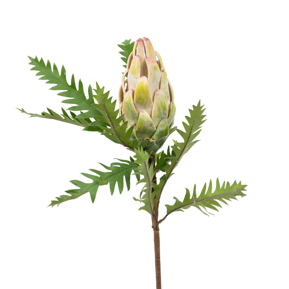 Artichoke Closed Green White Silk Flower Stem - 62cm