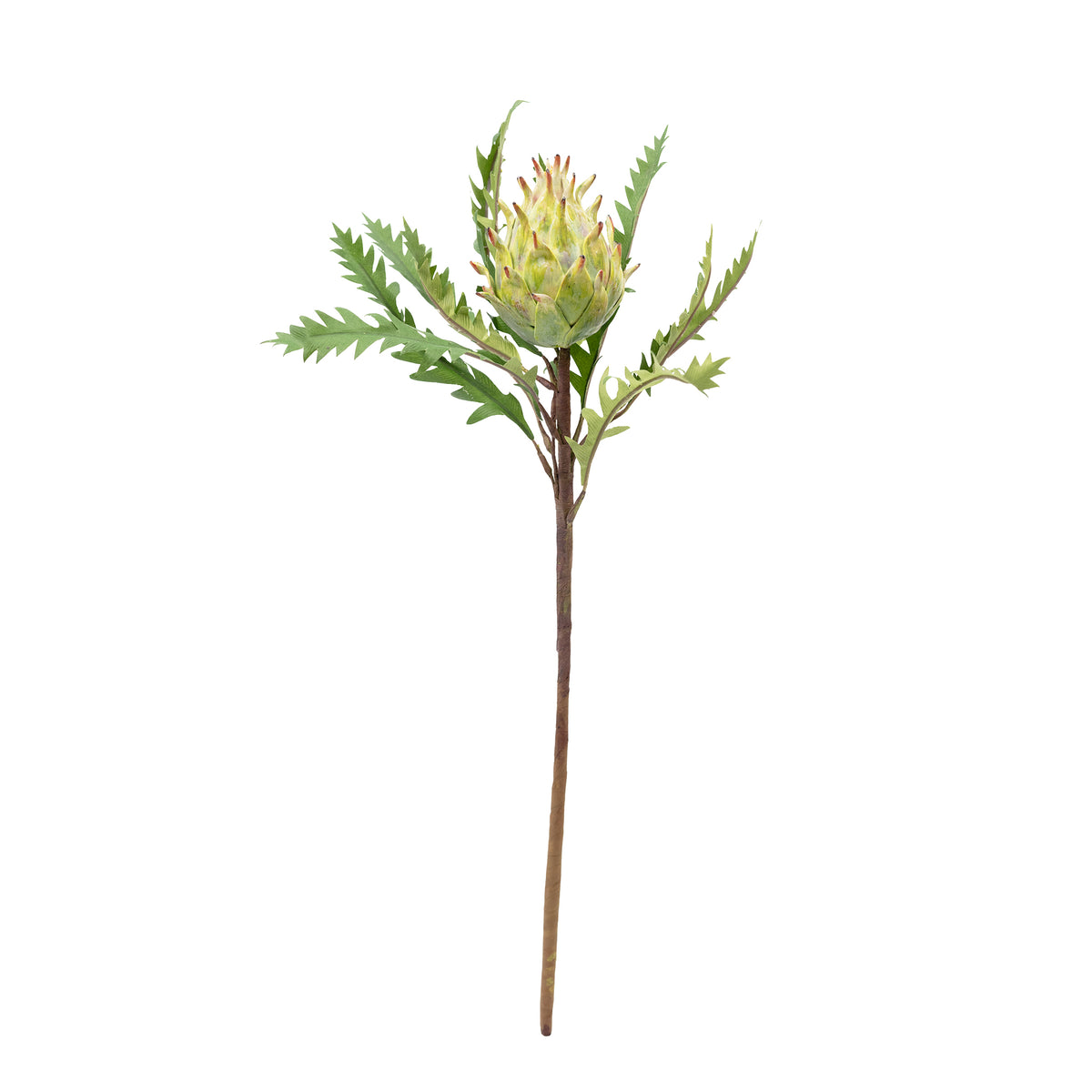 Artichoke Open Green Silk Flower Stem - 52cm