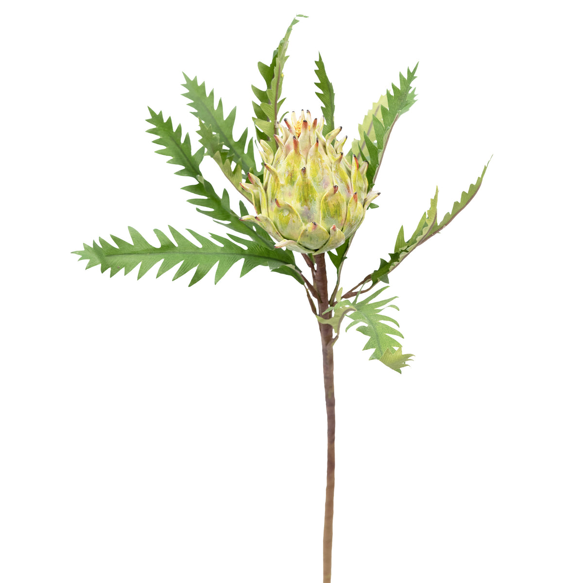 Artichoke Open Green Silk Flower Stem - 52cm