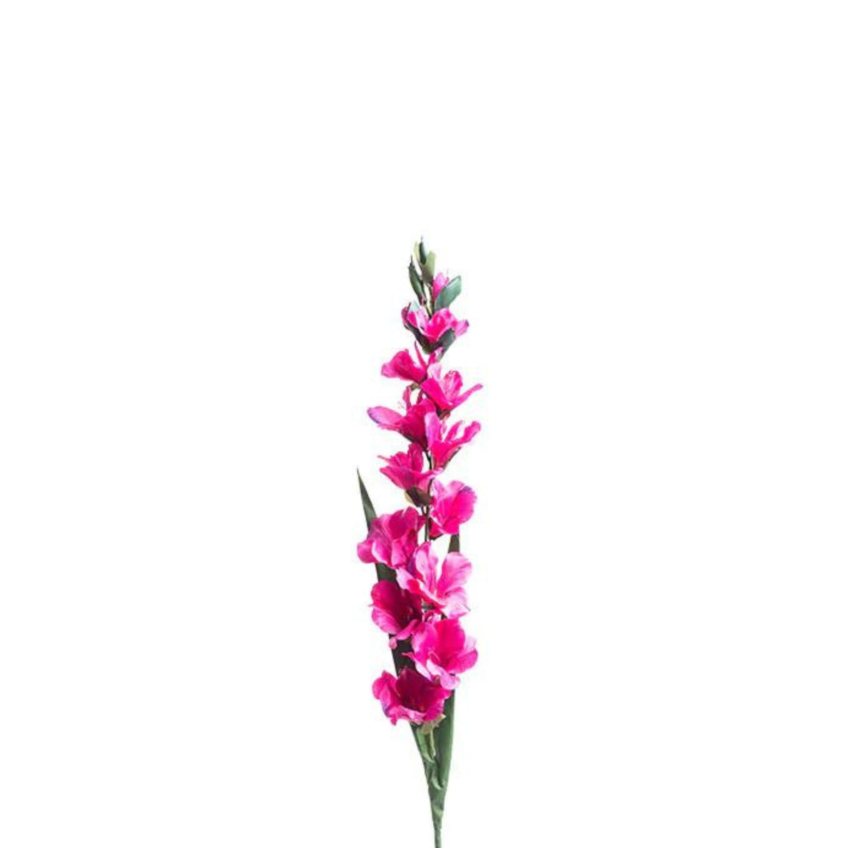 Gladiolus Fuschia Silk Flower Stem - 100cm