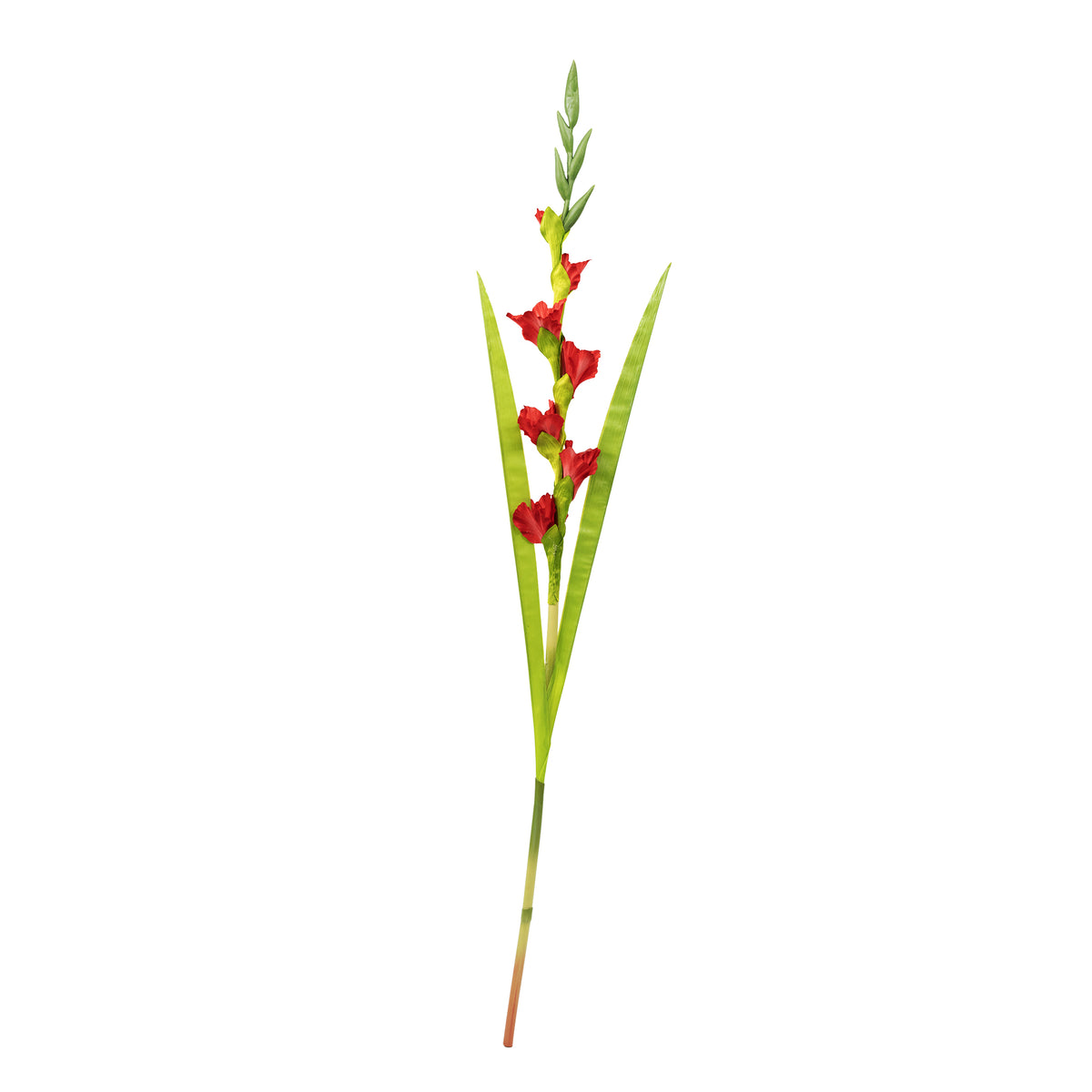 Gladiolus Red Silk Flower Stem - 120cm