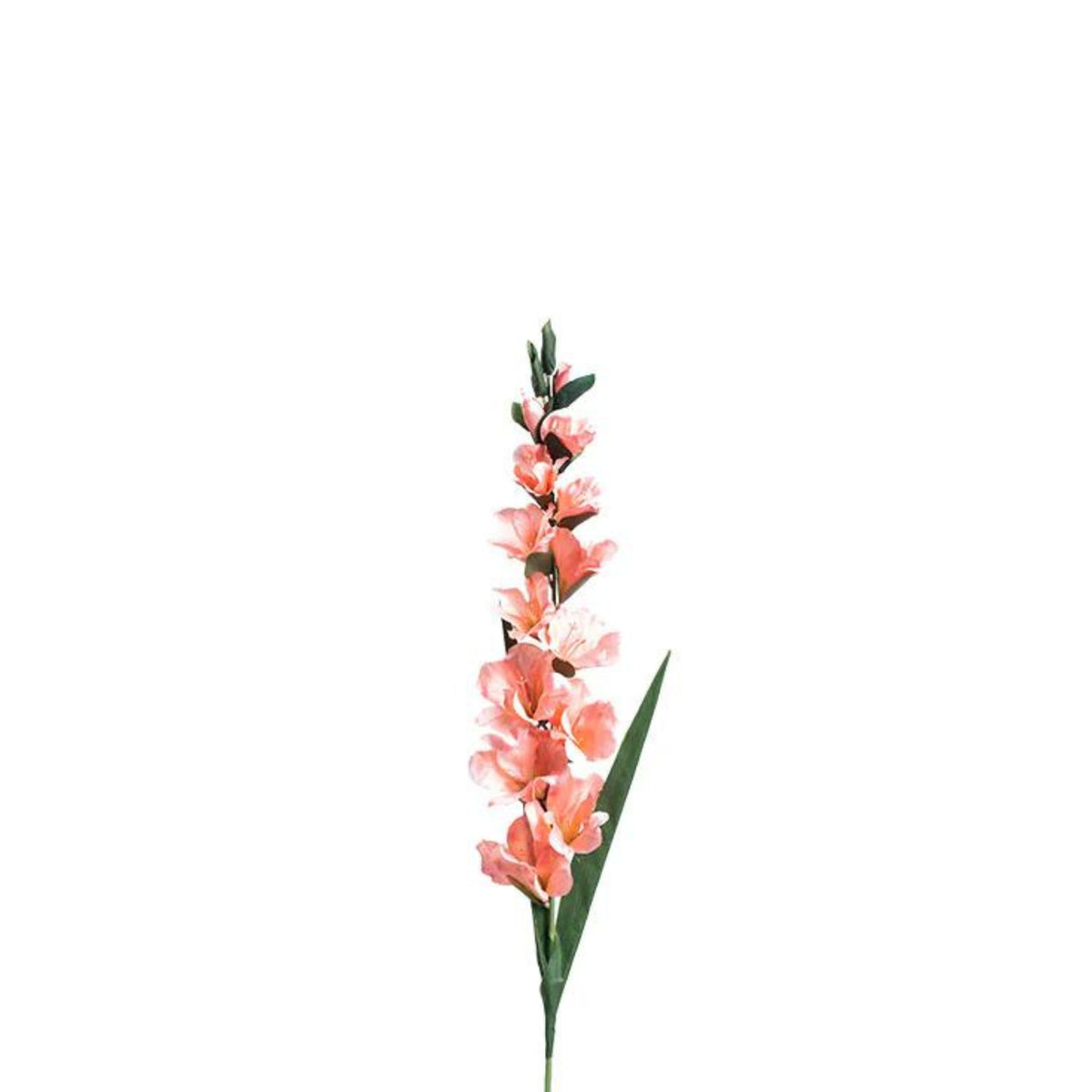 Gladiolus Salmon Silk Flower Stem - 100cm