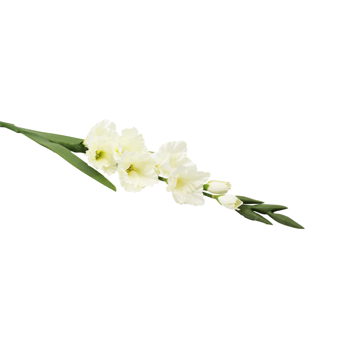 Gladiolus White Silk Flower Stem - 90cm