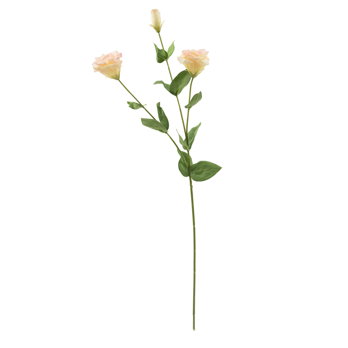 Lusianthus Cream Pink Silk Flower Stem - 73cm