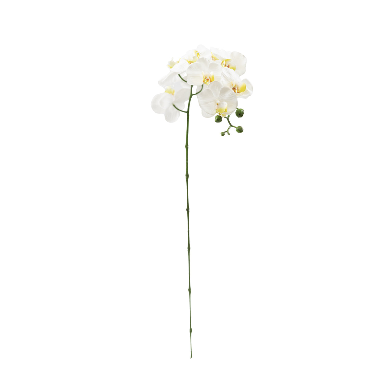 Phalaenopsis Orchid White Silk Flower Stem - 105cm