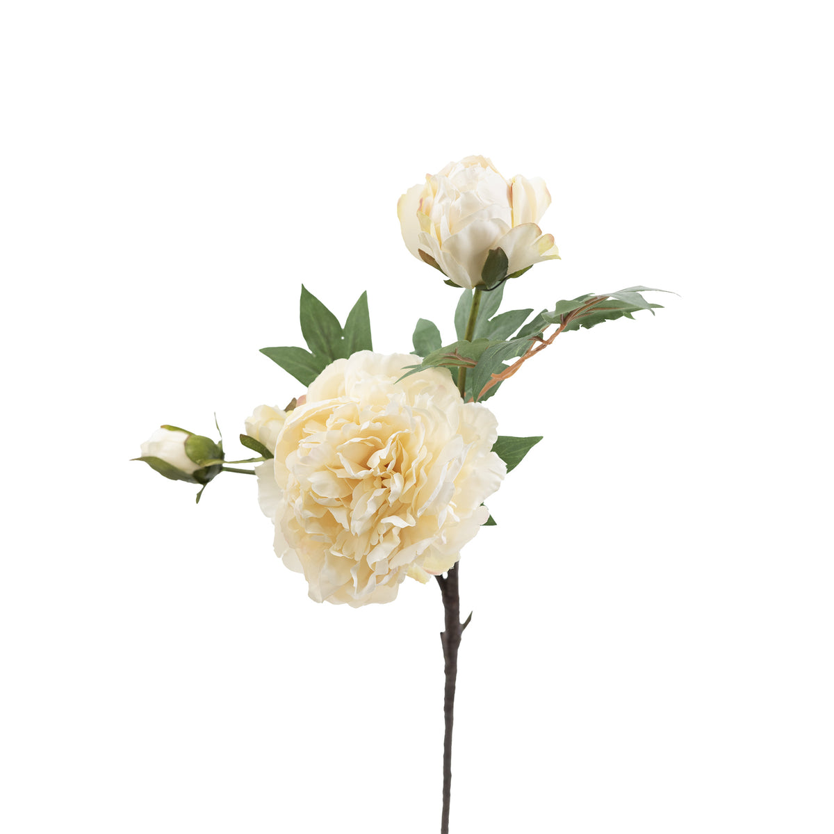 Peony Cream Silk Flower Stem - 65cm