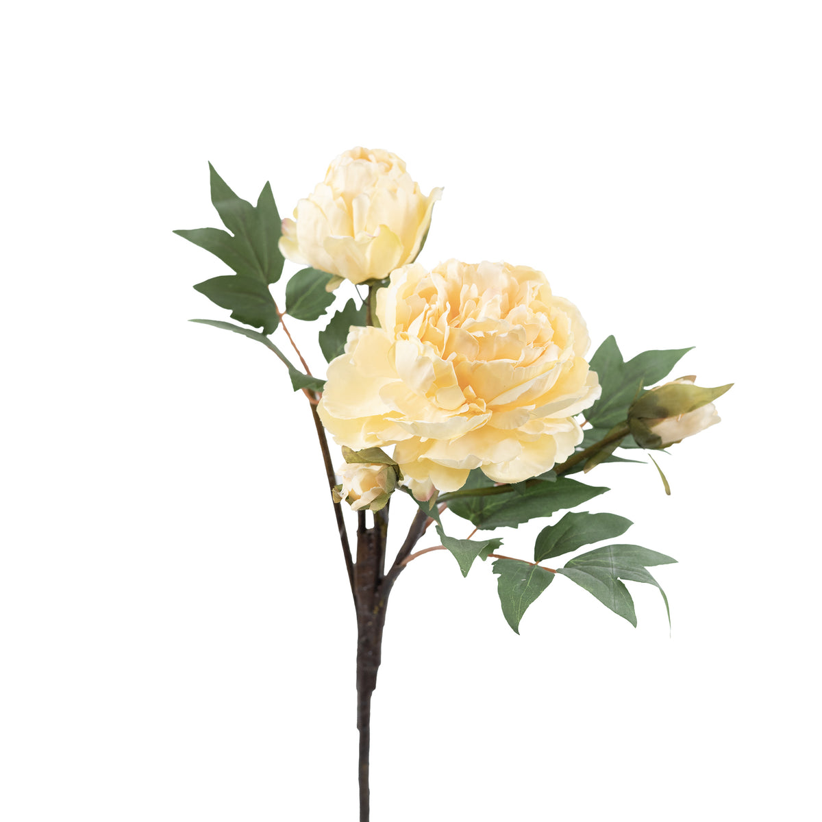 Peony Beige Yellow Silk Flower Stem - 65cm