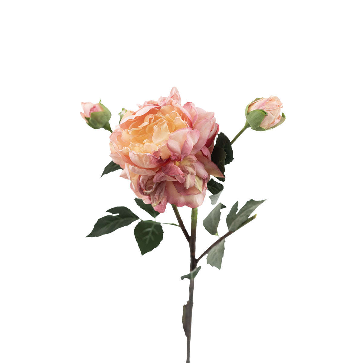 Peony Cream Pink Silk Flower Stem - 65cm