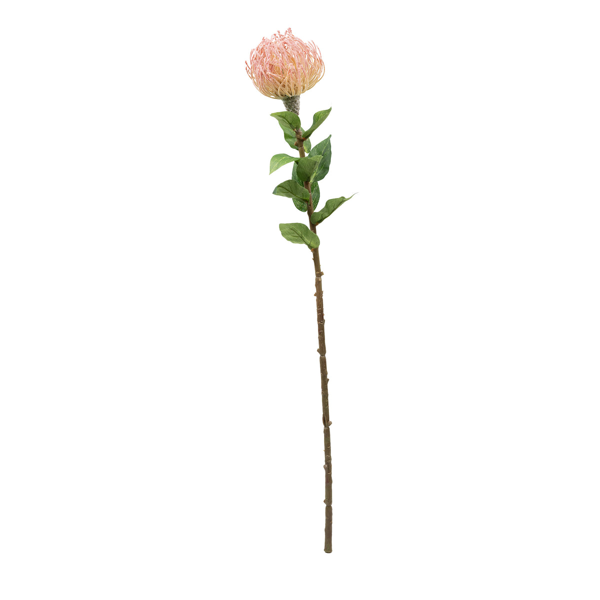 Pincushion Pink Flower Stem - 60cm