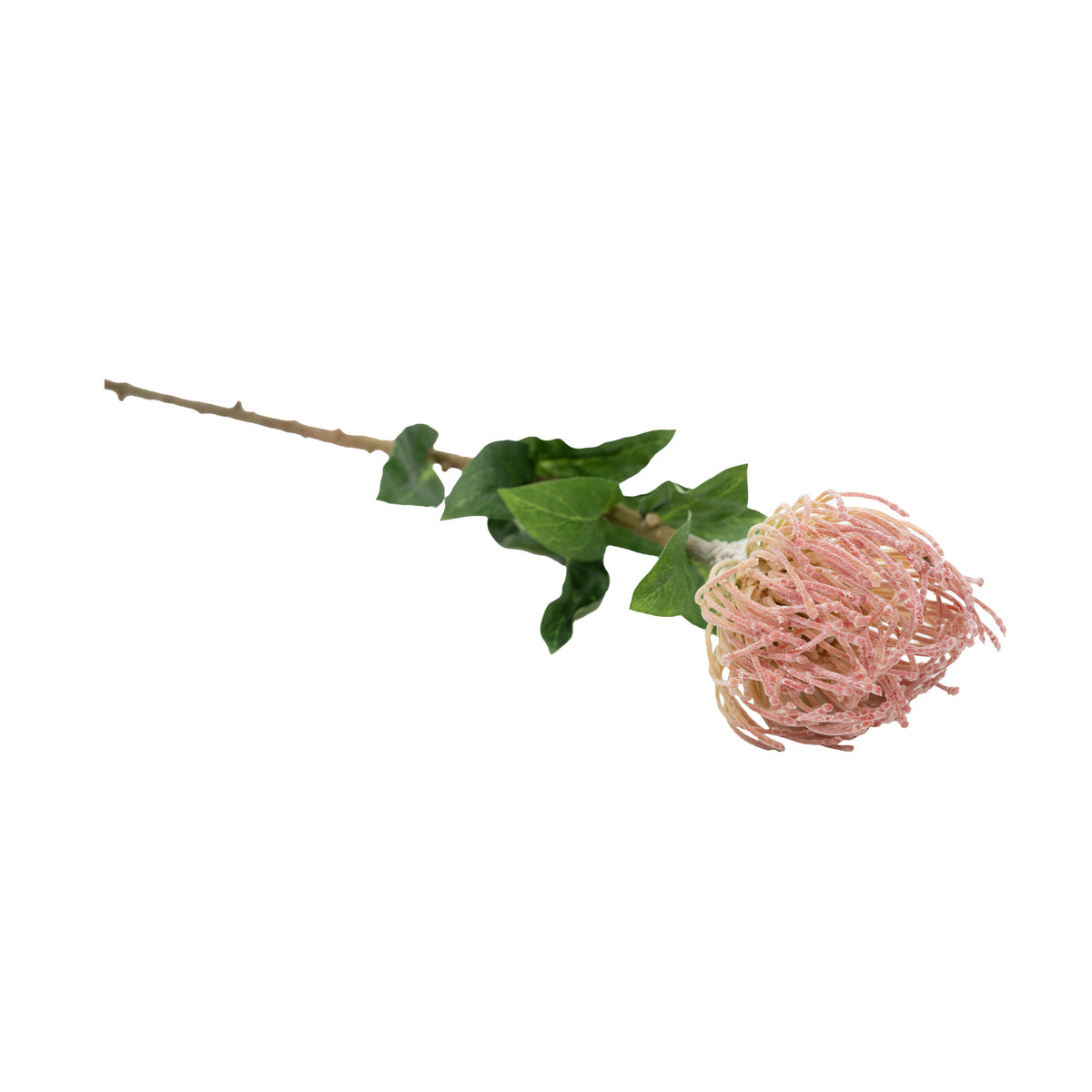 Pincushion Pink Flower Stem - 60cm