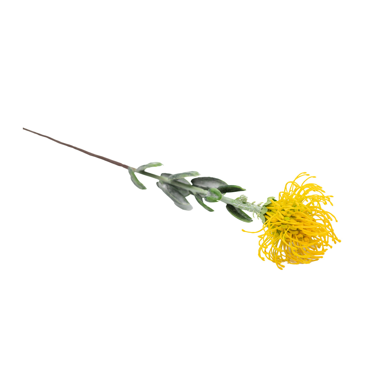 Pincushion Yellow Flower Stem - 60cm