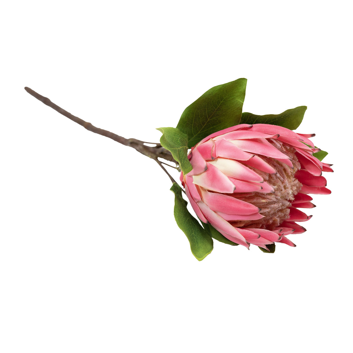 Side view ofFaux King Protea Pink 63cm with leaves