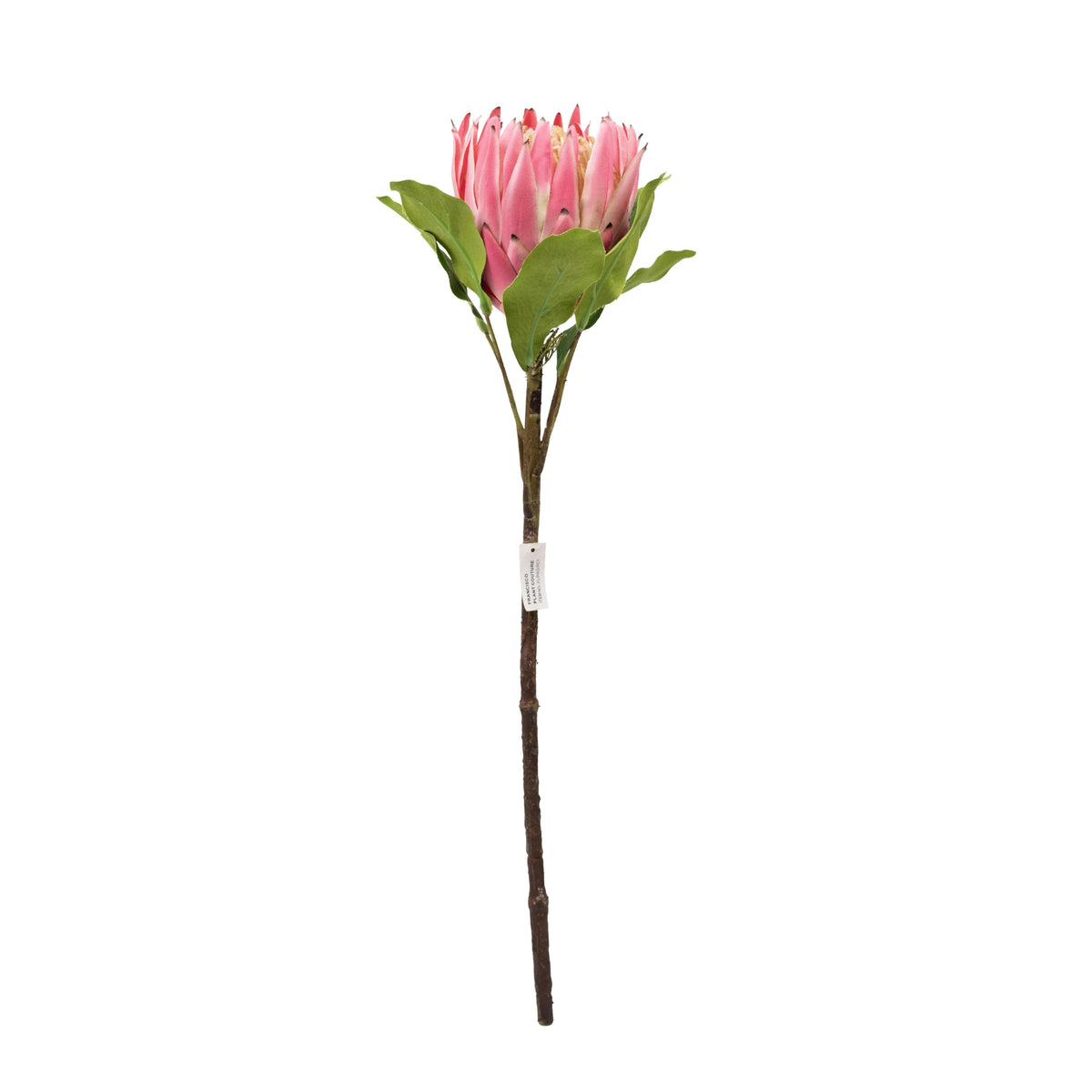 silk flower stem protea 63cm  from plant couture