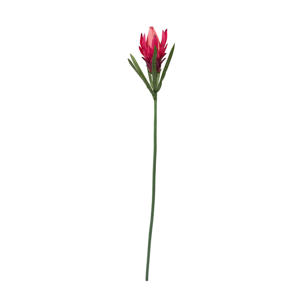 Protea Bud Hot Pink Silk Flower Stem - 48cm