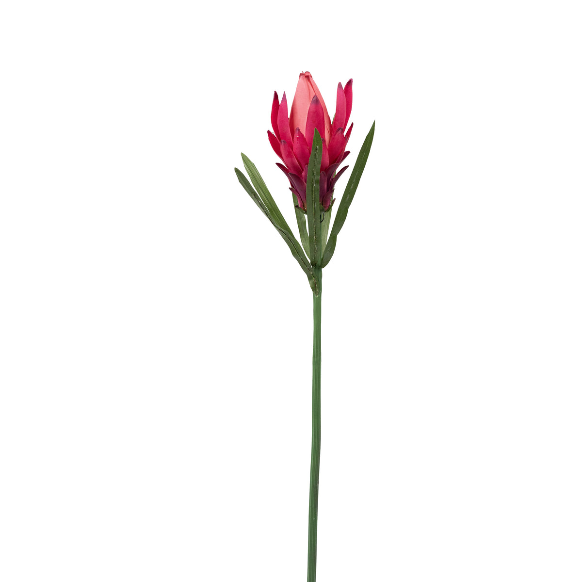 Protea Bud Hot Pink Silk Flower Stem - 48cm