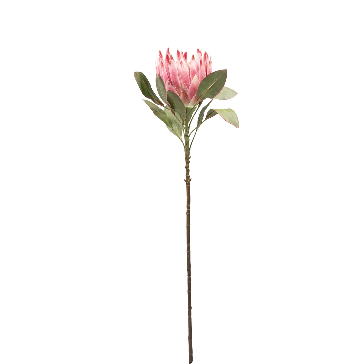 Protea Pink Silk Flower Stem - 75cm