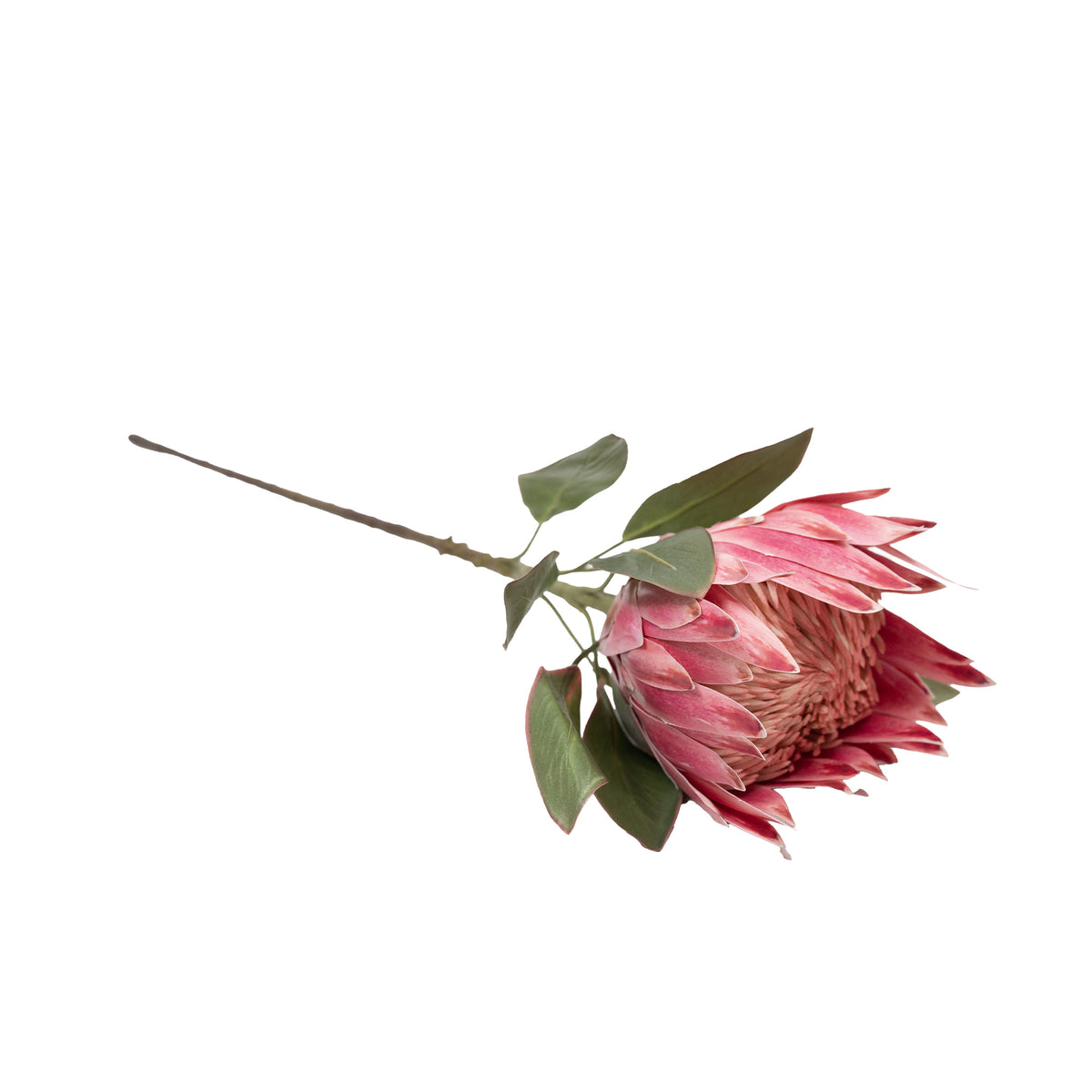 Protea Pink Silk Flower Stem - 75cm