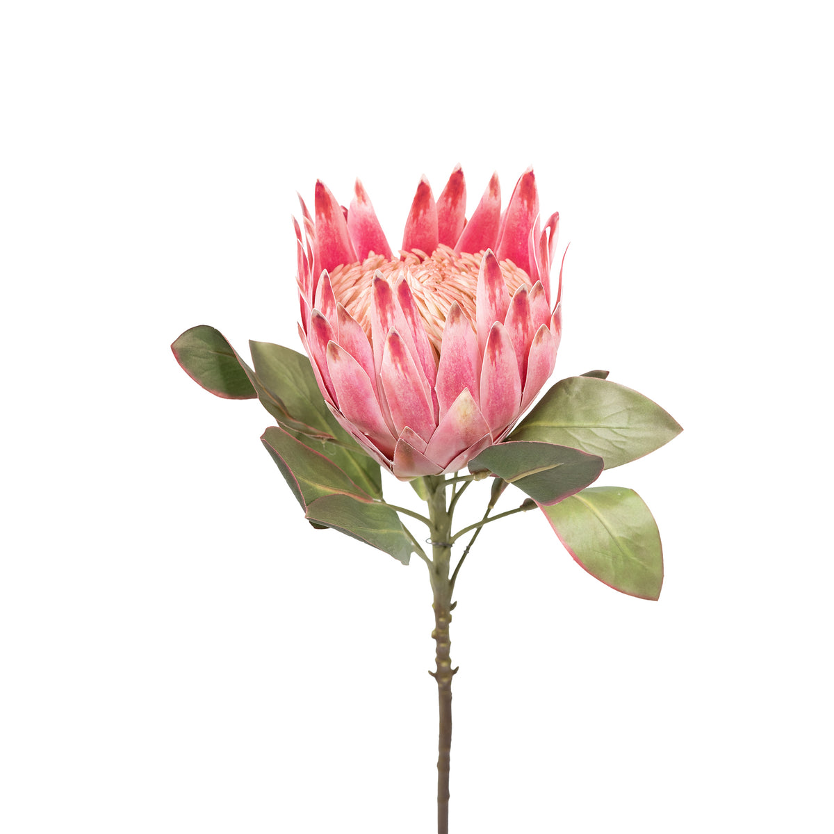 Protea Pink Silk Flower Stem - 75cm