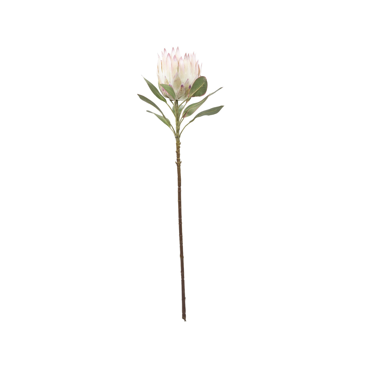 Protea Pink Green Silk Flower Stem - 75cm