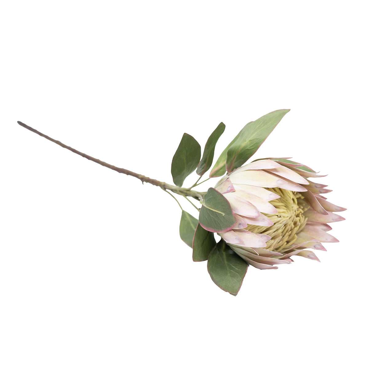 Protea Pink Green Silk Flower Stem - 75cm