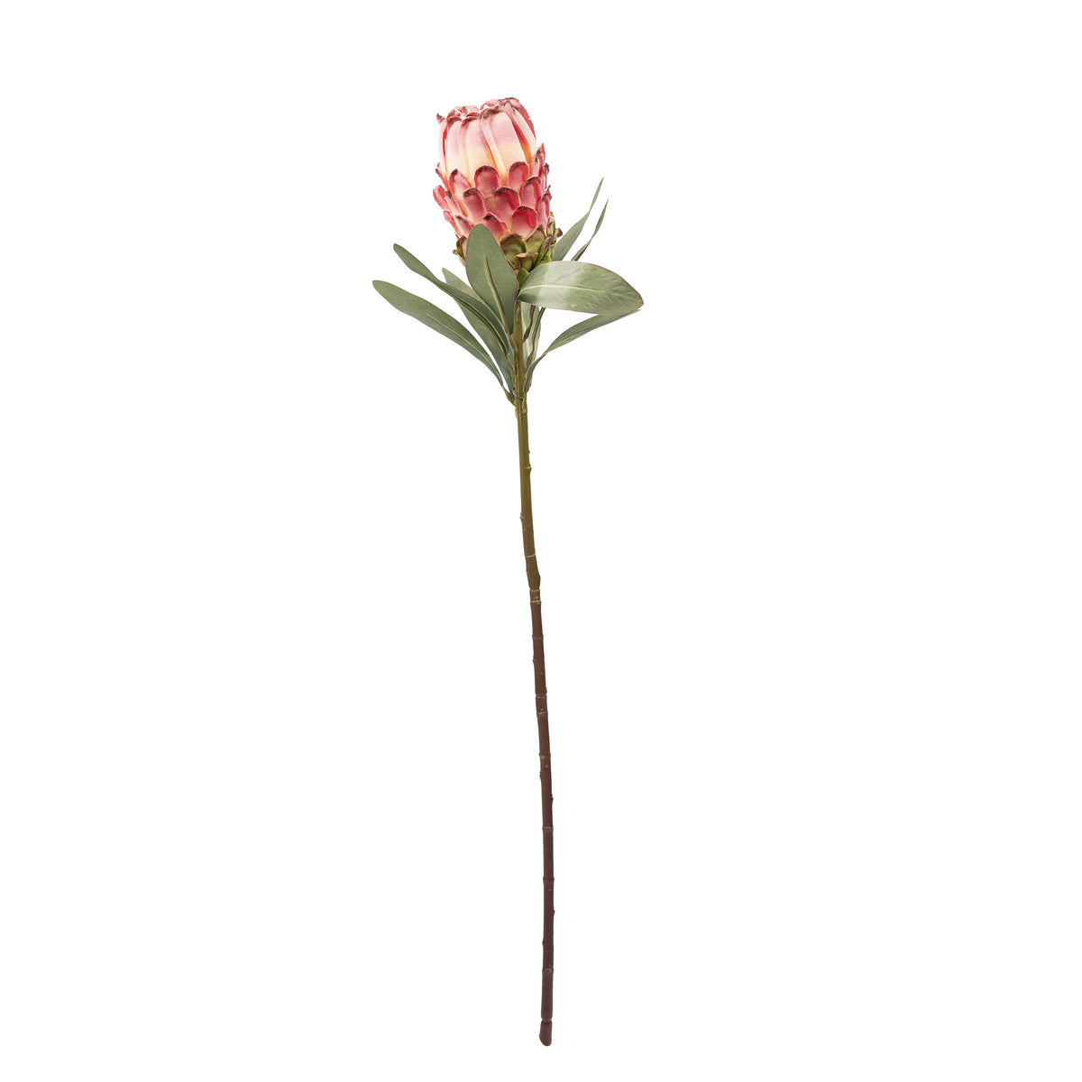 Protea Closed Pink Silk Flower Stem - 75cm