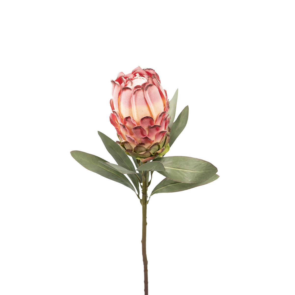 Protea Closed Pink Silk Flower Stem - 75cm