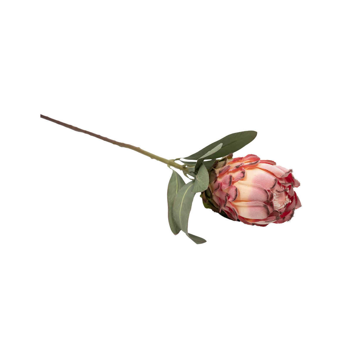 Protea Closed Pink Silk Flower Stem - 75cm