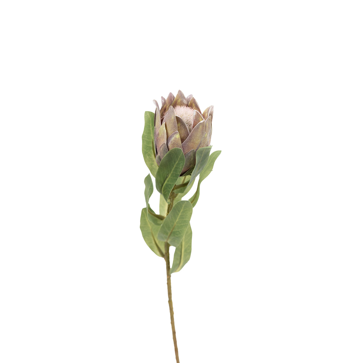 Protea Bud Purple Pink Silk Flower Stem - 48cm