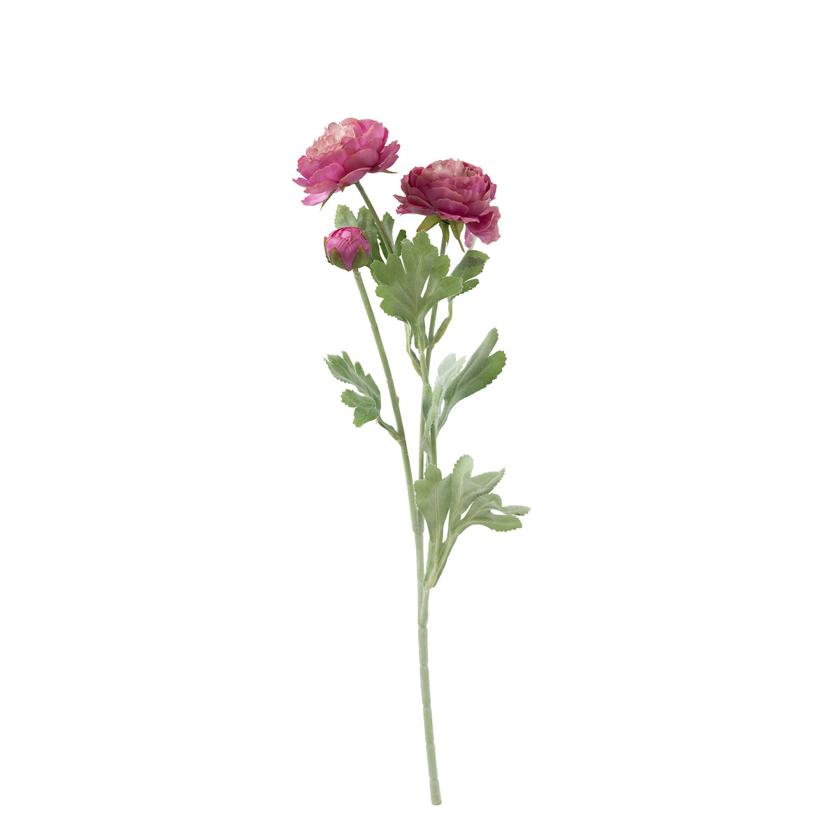 Rananculous Dark Pink Silk Flower Stem