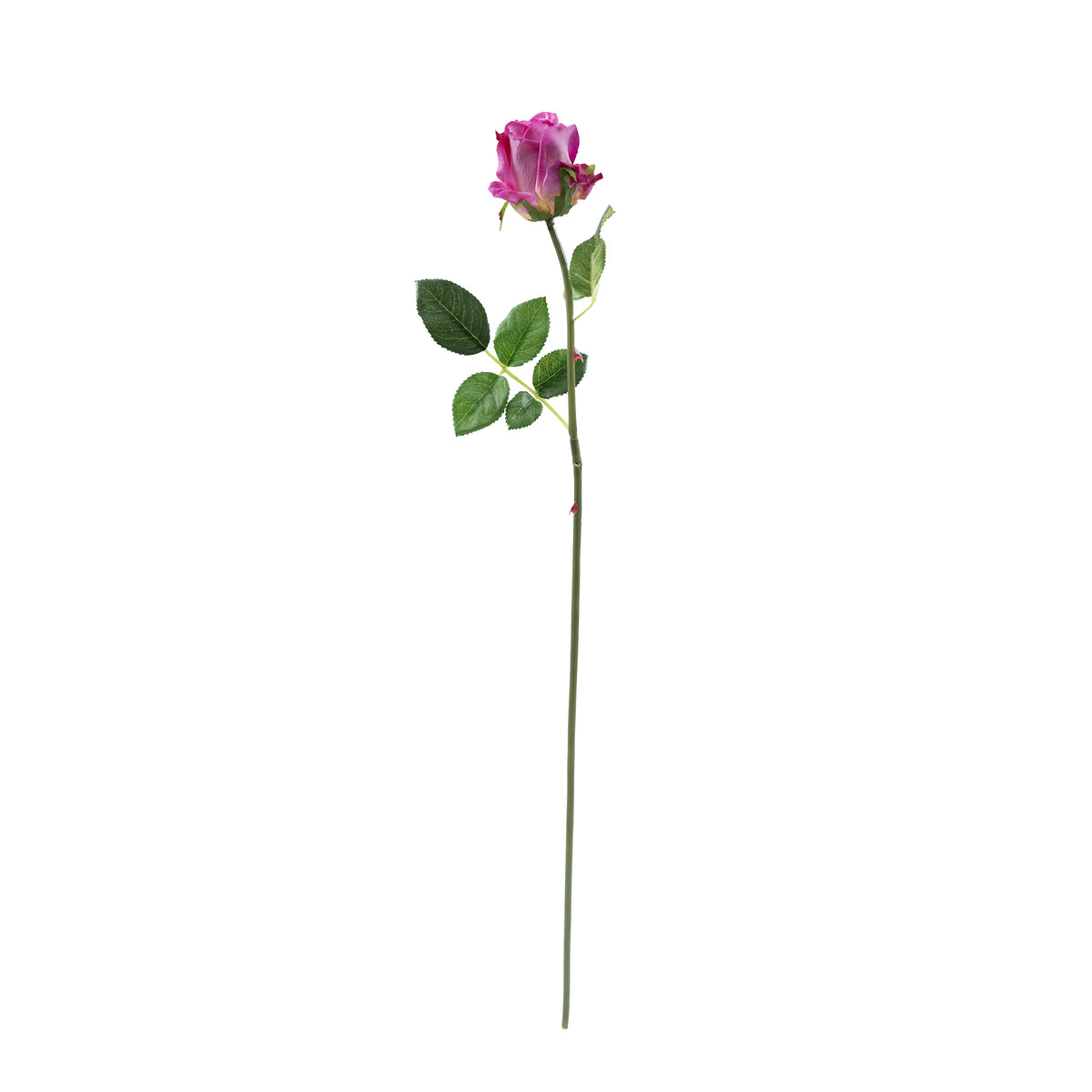 Semi Open Rose Purple Pink Stem - 65cm