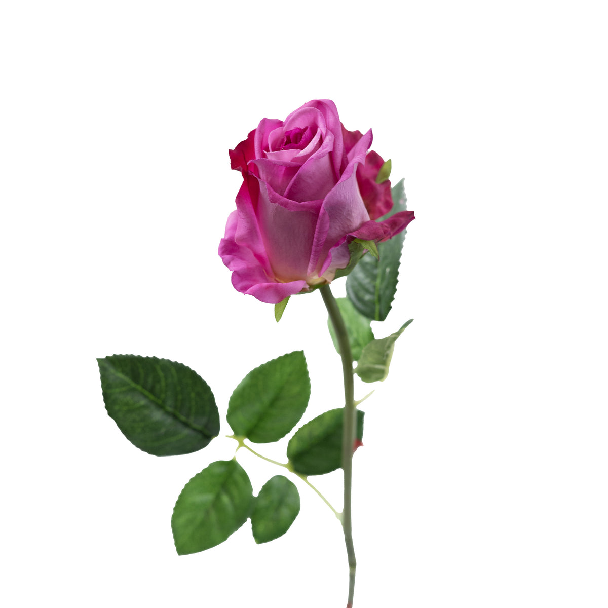 Semi Open Rose Purple Pink Stem - 65cm